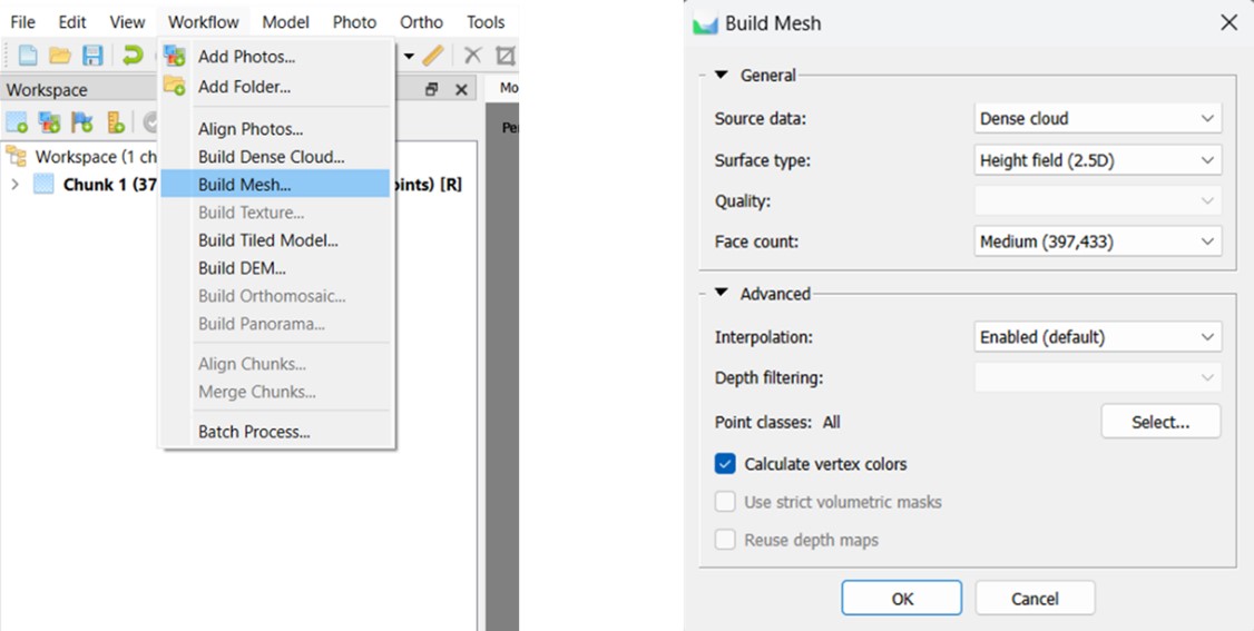 Build mesh in Metashape